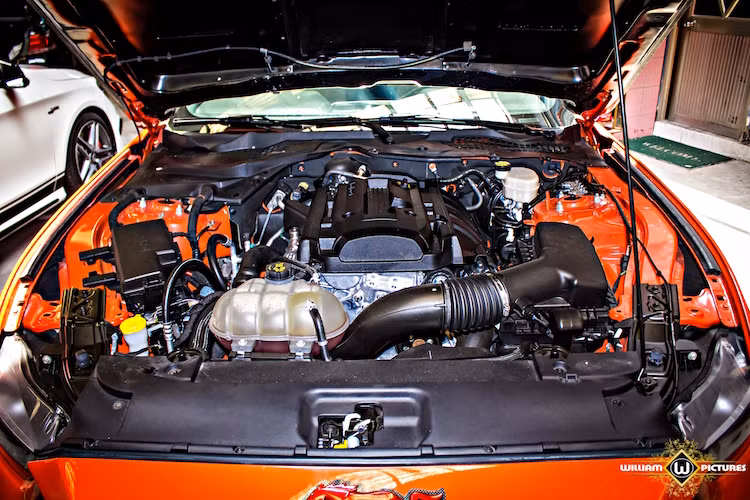 Phiên bản Mustang EcoBoost này được trang bị khối động cơ 4 xi-lanh thẳng hàng 2.3l với công nghệ tăng áp EcoBoost giúp tăng công suất nhưng vẫn tiết kiệm nhiên liệu, có công suất lên tới 305 mã lực và mô-men xoắn cực đại 407 Nm.