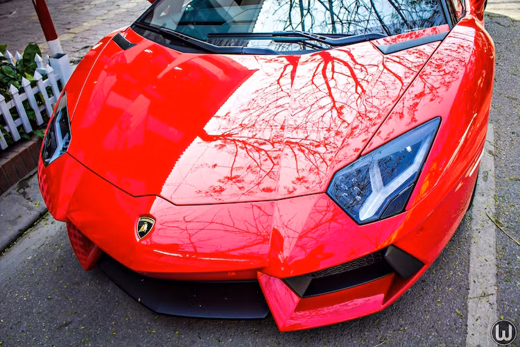 Phần mui cũng sử dụng vật liệu sợi carbon nhưng được chế tạo theo một quy trình độc đáo, lần đầu tiên xuất hiện trong Thế giới xe. Để có được tổng trọng lượng chỉ 12 kg, phần mui được cấu tạo từ 3 lớp sợi carbon đặc biệt. Lớp bên ngoài là sợi Carbon (CF) được tạo ra bằng công nghệ RTM (Resin Transfer Mould – chuyển khung nhựa), bộ khung là CF rèn tổng hợp và được dán áp suất cao với một lớp CF RTM mỏng bên dưới nữa.