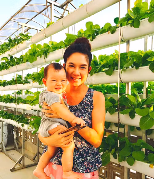 Ngoài ra, nhiều loại cây ăn trái do Lý Hải trồng cũng ra trái trĩu trịt. Ảnh: Yan.