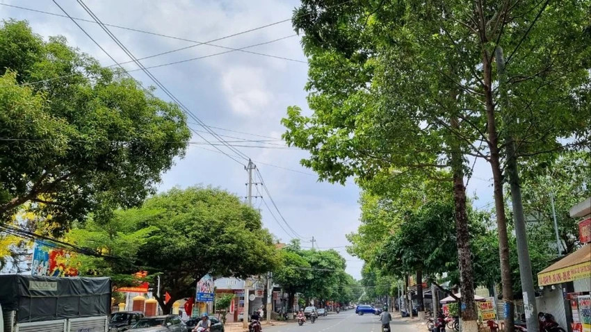 Rà soát tất cả các dự án cây xanh trên địa bàn Đắk Lắk Ra soat tat ca cac du an cay xanh tren dia ban Dak Lak