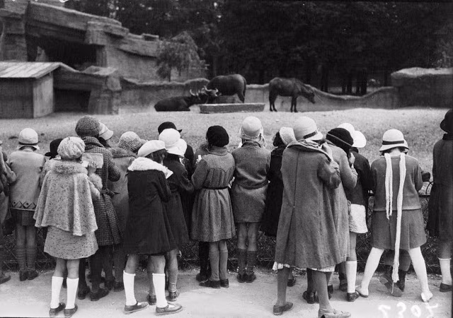 Mọi người tới sở thú xem. Ảnh VT