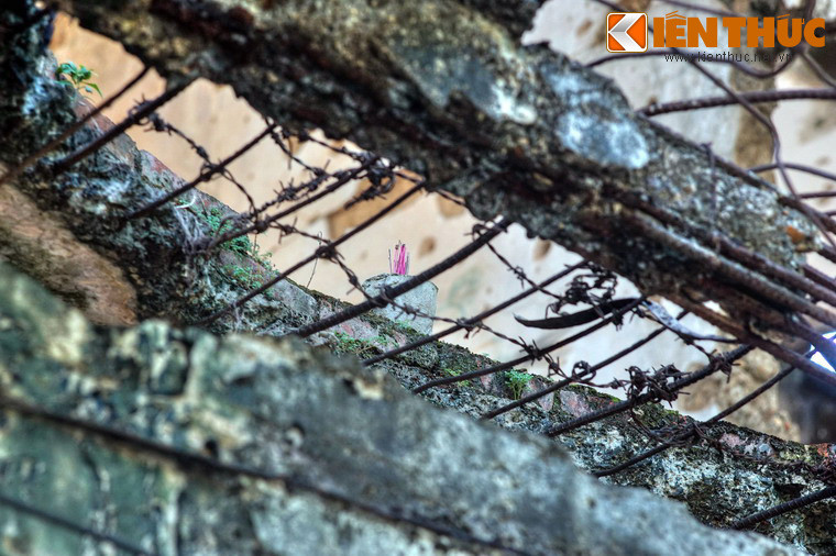 Kết cấu cốt thép lộ ra từ những khối bê tông bị xé toang.