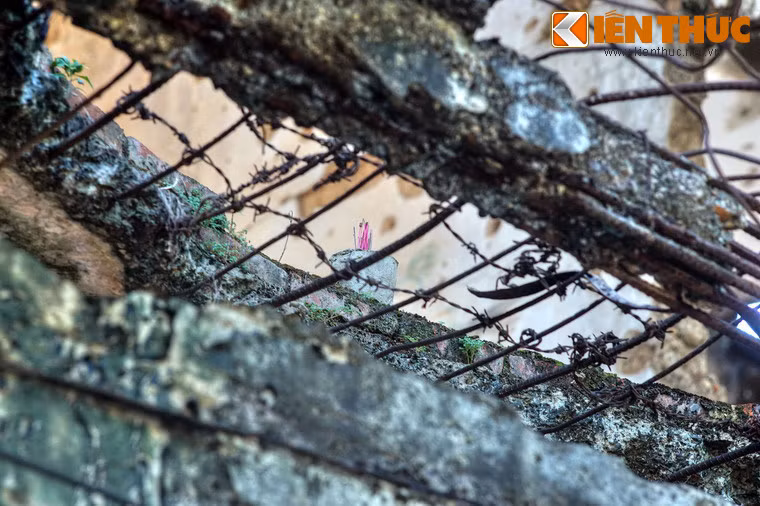 Kết cấu cốt thép lộ ra từ những khối bê tông bị xé toang.