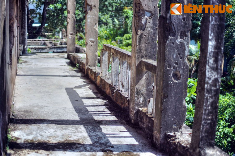 Những dãy hàng từng nhộp nhịp bước chân học trò, nay trống vắng đền lạnh người.