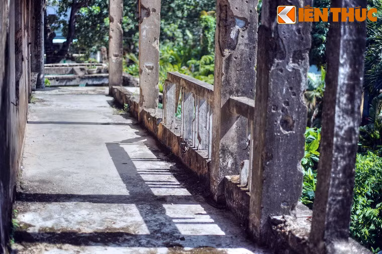 Những dãy hàng từng nhộp nhịp bước chân học trò, nay trống vắng đền lạnh người.