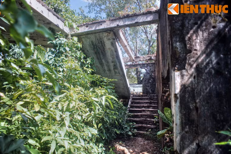 Theo ước tính, trong 81 ngày đêm tái chiếm Thành cổ Quảng Trị, số bom đạn mà quân đội Mỹ - Sài Gòn đã ném xuống tương đương với sức công phá của 7 quả bom nguyên tử mà Mỹ đã ném xuống Hiroshima năm 1945.