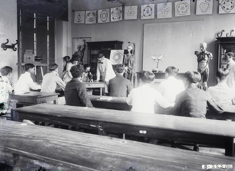 Giờ học môn lịch sử tự nhiên.