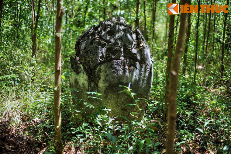 Loại hình búp sen.