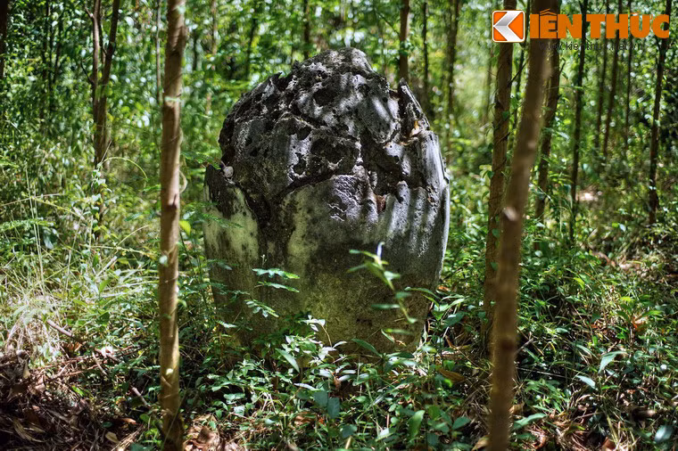 Loại hình búp sen.