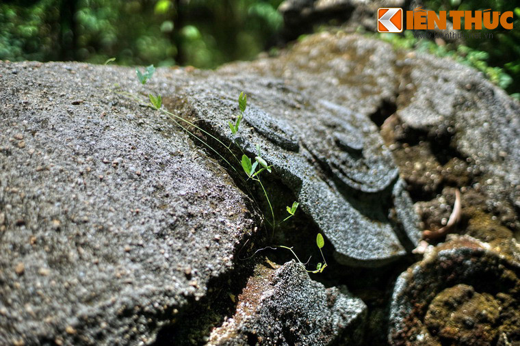 Do chưa được nghiên cứu đầy đủ, xung quanh các ngôi mộ cổ ở núi A Mang vẫn còn rất nhiều bí ẩn chờ đợi được giải đáp, như bối cảnh lịch sử hình thành, chủ nhân các ngôi mộ… (Bài có sử dụng tư liệu của báo Phú Yên).