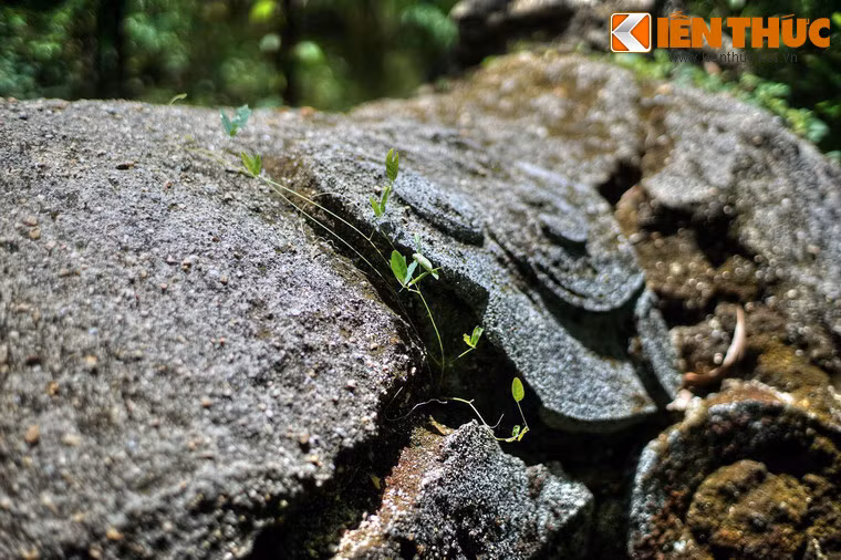 Do chưa được nghiên cứu đầy đủ, xung quanh các ngôi mộ cổ ở núi A Mang vẫn còn rất nhiều bí ẩn chờ đợi được giải đáp, như bối cảnh lịch sử hình thành, chủ nhân các ngôi mộ… (Bài có sử dụng tư liệu của báo Phú Yên).
