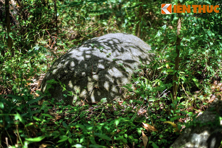 Các loại khác có số lượng ít hơn, như loại hình mu rùa.