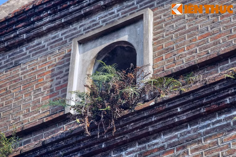 Trong suốt nhiều thế kỷ, tháp Hòa Phong đã đóng vai trò như một hình ảnh mang tính biểu tượng của chùa Dâu.