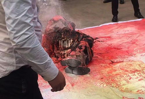 Tuy vậy, rất nhiều người cho rằng đây là một lời chúc mừng đặc biệt nên vô cùng hào hứng, vui vẻ và nhiệt tình cổ vũ.