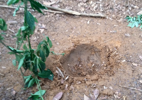 Vật thể có hình cầu, dạng tròn đường kính khoảng 40cm. Ngoài hố tròn như đã thông tin, cú rơi của “vật thể lạ” còn đẩy xa toàn bộ lớp rác quanh hố với đường kính khoảng một mét. Đất trong lòng hố tròn không có biểu hiện bị cháy xém.