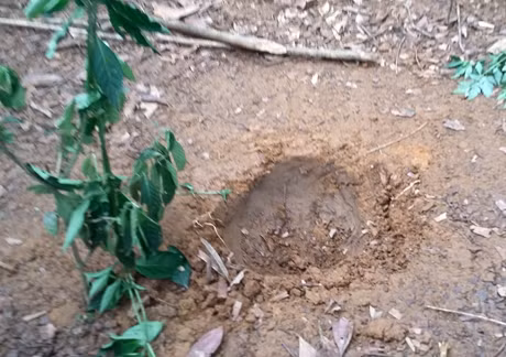 Vật thể có hình cầu, dạng tròn đường kính khoảng 40cm. Ngoài hố tròn như đã thông tin, cú rơi của “vật thể lạ” còn đẩy xa toàn bộ lớp rác quanh hố với đường kính khoảng một mét. Đất trong lòng hố tròn không có biểu hiện bị cháy xém.