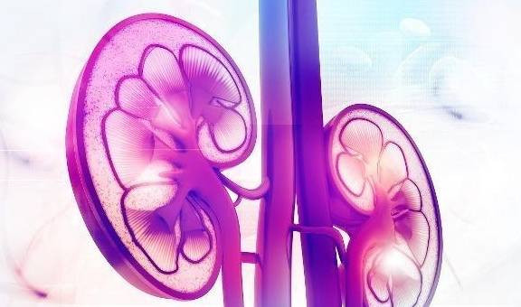 Sang day thay bo phan nay cung cap, than cuc khoe