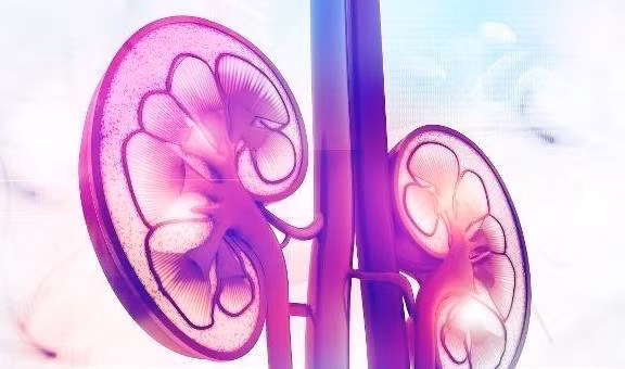 Sang day thay bo phan nay cung cap, than cuc khoe