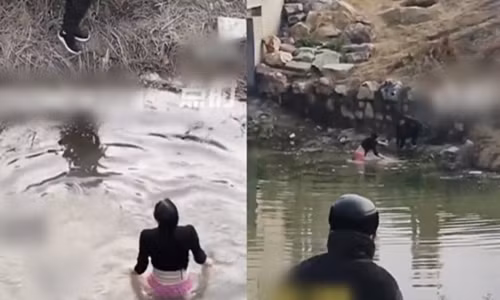 Vo say thai nhay song tu tu, chong dung nhin va su that