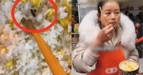 Khach noi co phan chuot trong com, chu quan phan ung soc