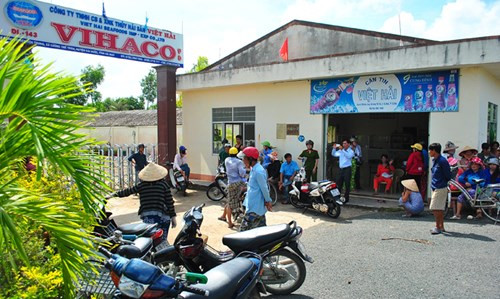 Soc: Hang loat dai gia thuy san Ca Mau bi truy to-Hinh-2