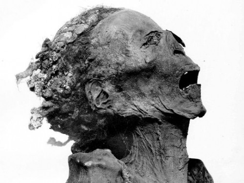 Ảnh chụp X-quang và kiểm tra DAN của các xác ướp này, nay được cất giữ tại bảo tang Ai Cập ở Cairo, đã cho ra một số kết quả quan trọng.