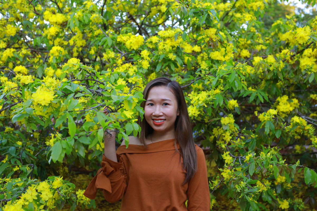 Cứ dịp Tết đến, mỗi ngày có hàng nghìn người người kéo đến chiêm ngưỡng, chụp ảnh. Nhiều không ngớt lời khen dành cho cây mai này.