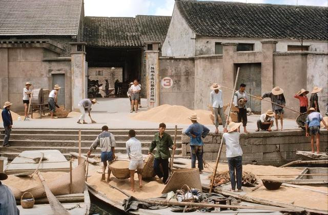 Các thành viên hợp tác xã đem thóc đến Văn phòng Quản lý Lương thực Huqiu ở Tô Châu.