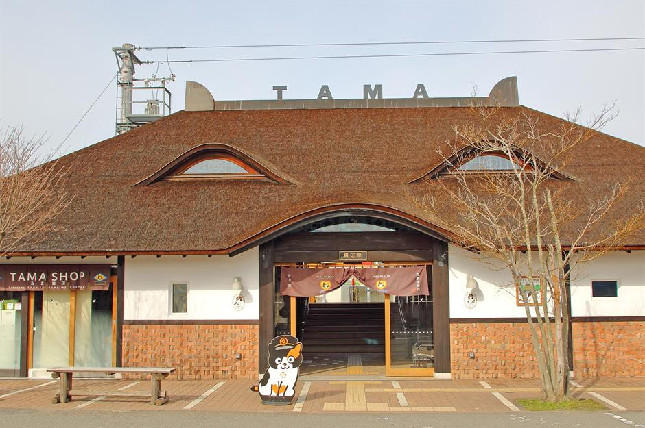 Độc đáo những ngôi nhà động vật nổi tiếng trên thế giới - Hình 3 Doc dao nhung ngoi nha dong vat noi tieng tren the gioi-Hinh-3