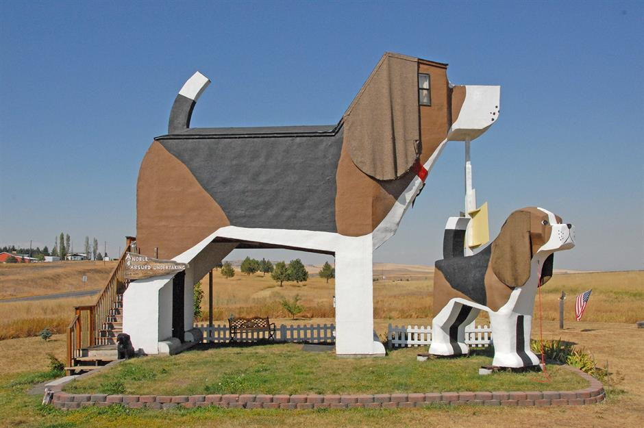 Độc đáo những ngôi nhà động vật nổi tiếng trên thế giới - Hình 13 Doc dao nhung ngoi nha dong vat noi tieng tren the gioi-Hinh-13