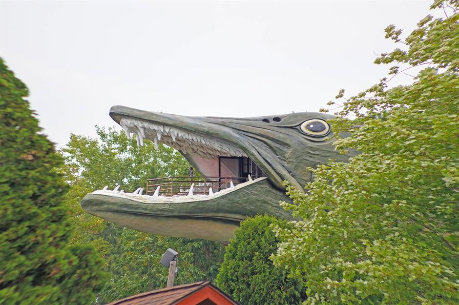 Độc đáo những ngôi nhà động vật nổi tiếng trên thế giới - Hình 11 Doc dao nhung ngoi nha dong vat noi tieng tren the gioi-Hinh-11