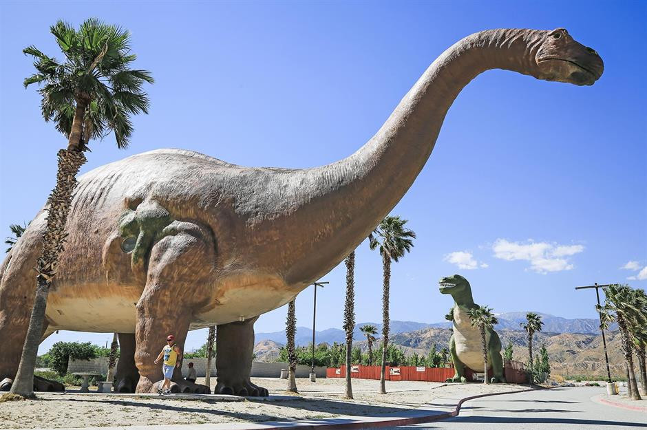 Độc đáo những ngôi nhà động vật nổi tiếng trên thế giới - Hình 14 Doc dao nhung ngoi nha dong vat noi tieng tren the gioi-Hinh-14