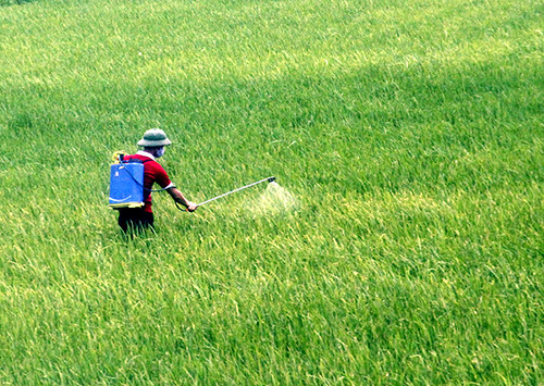 Co che khang thuoc tru sau cua con trung