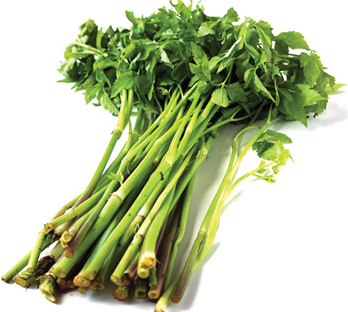 Bị gan nhiễm mỡ, cần ăn nhiều rau Bi gan nhiem mo, can an nhieu rau