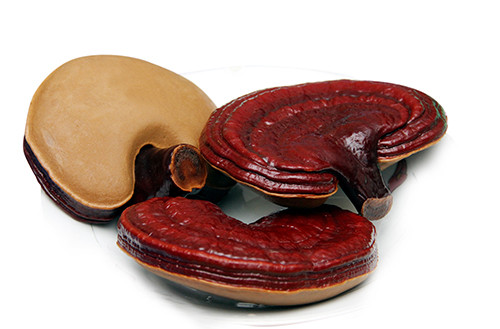 Cach dung nam linh chi voi bo cong anh chua ung thu