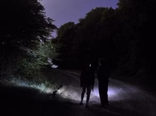 Rừng Hoia Baciu được gọi là tam giác quỷ Bermuda của Transylvania vì nơi đây liên tiếp diễn ra những điều khiến người ta rùng mình mỗi khi nhắc tới. Trong thực tế, người Romani đã cảnh báo rằng nó là nỗi kinh hoàng nếu bạn tới đó vào ban đêm. Có một câu chuyện được kể lại rằng tên gọi Hoia Baciu này xuất hiện sau khi một người chăn cừu biến mất một cách bí ẩn trong số các cây cùng với đàn cừu 200 con của mình.