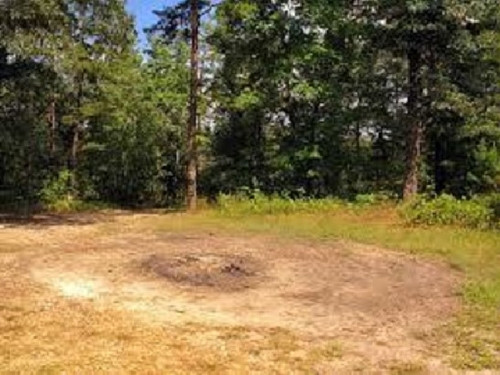 Theo một truyền thuyết, theo luật thanh toán bù trừ cánh rừng Hoia Baciu là điểm nóng dễ bùng nổ cảm xúc. Một số thông tin báo cáo cho biết cánh rừng còn là nơi kết nối với các UFO. Một bức ảnh được chụp vào năm 1968 bởi nhà sinh vật học Alexandru Swift có xuất hiện một đĩa bay trên vùng này có nguồn gốc ngoài trái đất.