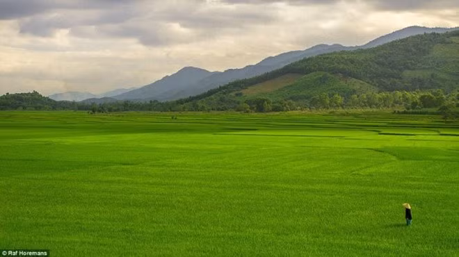 Raf Horemans gây bất ngờ cho người thân khi từ bỏ công việc thiết kế đồ họa và dùng số tiền tiết kiệm 6.000 AUD (khoảng 97 triệu đồng) mua lại một chiếc xe hơi và bắt đầu chuyến du lịch kéo dài. Cảnh người nông dân giữa cánh đồng lúa xanh mướt ở Việt Nam do Raf Horemans chụp được nhiều người yêu thích.