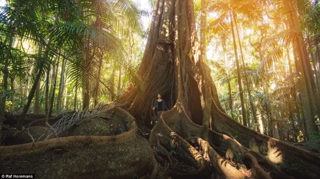 Chiến thuật của anh là cố gắng tiết kiệm hết mức trong thời gian làm nhà thiết kế đồ họa, sống cùng với cha mẹ và kiếm việc làm thêm trên quãng đường đi.