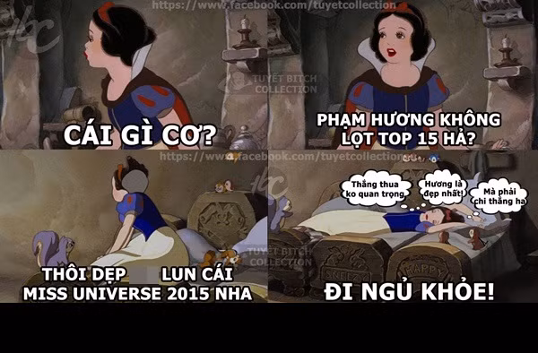 Các hội chế ảnh vốn nổi tiếng với phong cách "chặt chém" cũng tỏ ra khó chịu, không phục với trường hợp của Phạm Hương. Với những điều khó giải thích, những sự cố xảy ra trong đêm chung kết, Miss Universe năm nay bị cho là khá "nhập nhèm".