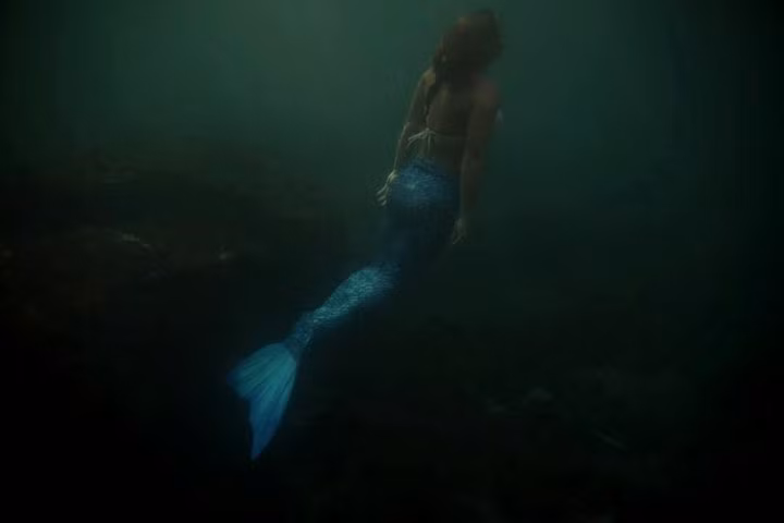 Trẻ em Brazil khuyết tật thường không nhận được mức độ chăm sóc y tế cao do điều kiện kinh tế, thế nhưng kể từ khi các em gặp được " nàng tiên cá" có thật mang tên Carol Catan, các em đã trở nên vui vẻ và có niềm tin hơn rất nhiều vào cuộc sống. Nhiều bệnh nhân nhí coi Carol là nàng tiên cá xinh đẹp nhất Brazil. (Nguồn Sina)