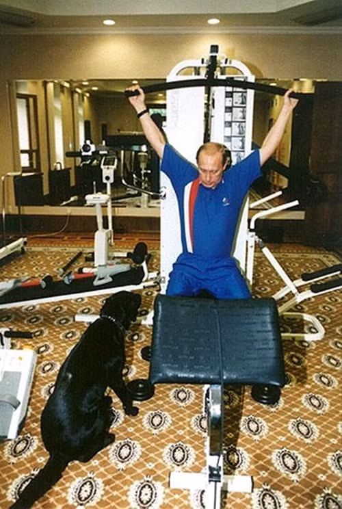 Theo thông tin đăng tải, Koni cũng tỏ ra thân thiện với cánh báo chí và tỏ rõ bản lĩnh của một siêu thú cưng khi luôn xuất hiện đúng lúc đúng chỗ bên chủ nhân đầy bản lĩnh của mình.