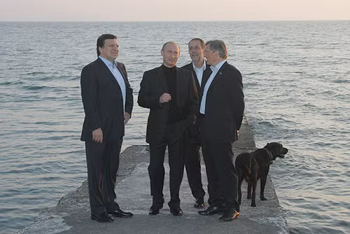 Về ngoại giao, Koni đã trở thành một biểu tượng của các cuộc họp thân thiện giữa Tổng thống Nga và các nhà lãnh đạo thế giới, cô chó cưng cũng được phép tham dự các cuộc họp chính thức của chủ nhân.