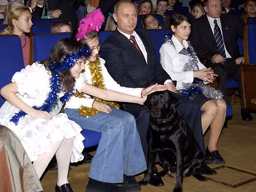 Tuy nhiên, tuổi thọ của chó ngắn hơn con người rất nhiều. Koni qua đời vào cuối năm 2014, lúc 15 tuổi, tuy nhiên phải đến tháng 2/2015, cái chết của siêu thú cưng mới được công bố.