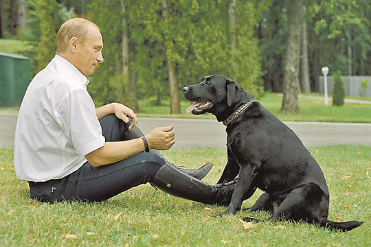 Làm bạn với Tổng thống Putin từ khi còn nhỏ đến khi trưởng thành và già đi, chó cưng Koni đã luôn làm tốt nhiệm vụ của mình, gây ấn tượng sâu sắc với mọi người.