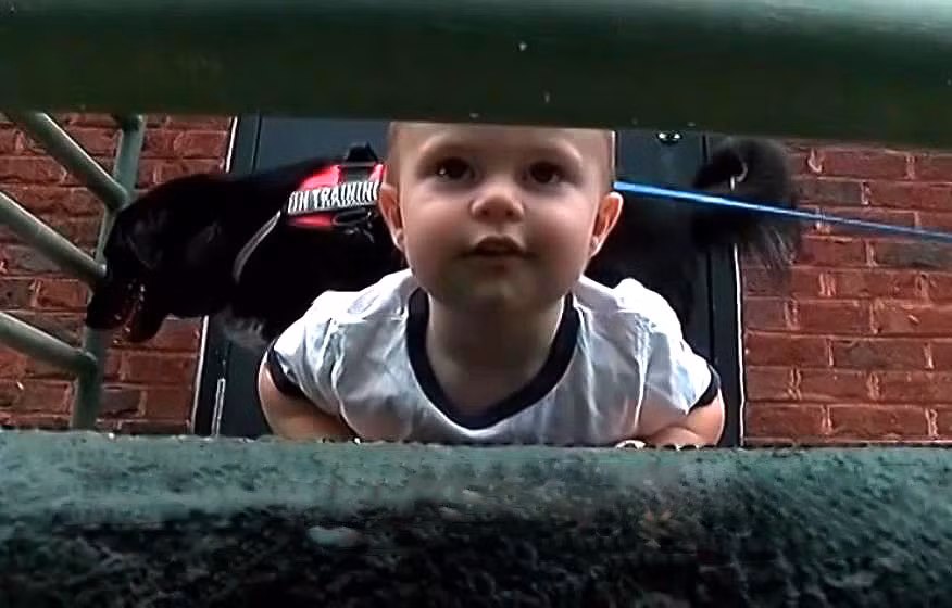 Ngay sau khi phát hiện sự thật, vợ chồng cô Hope đã đưa con trai mình đến bệnh viện để kiểm tra thân thể đồng thời xác định tổn thương. Rất may, cậu bé Finn không có tổn thương nào nghiêm trọng.