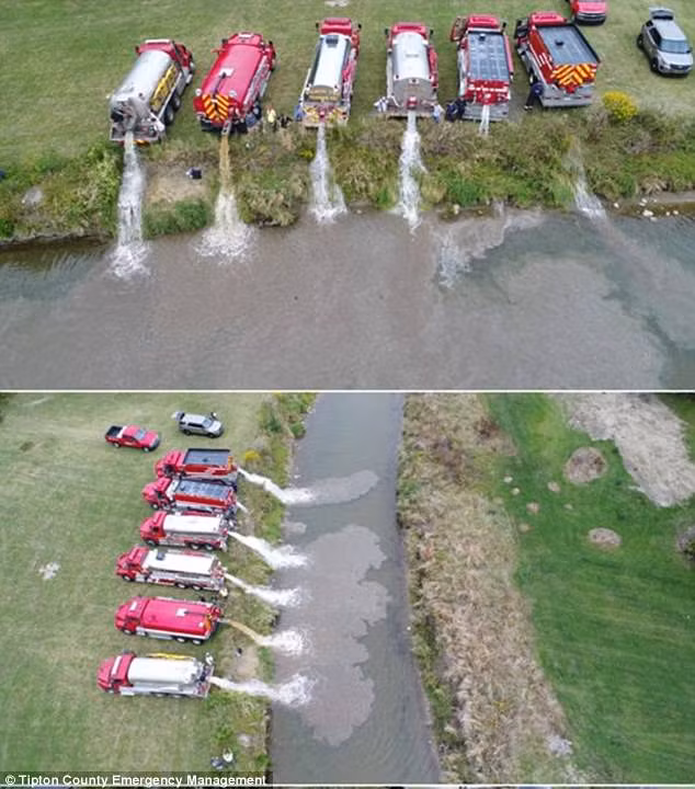 Dong song doi mau nhu sua va su that gay kinh ngac-Hinh-4