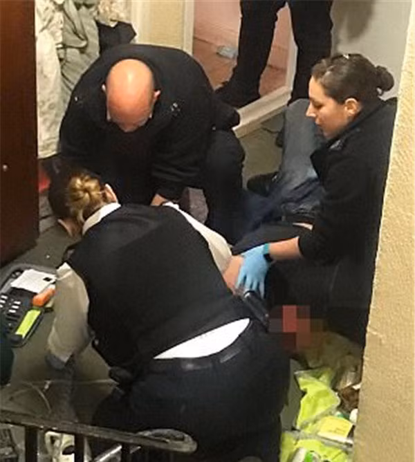 Hai hung cho bulldog phe ma tuy can chet chu nhan-Hinh-3