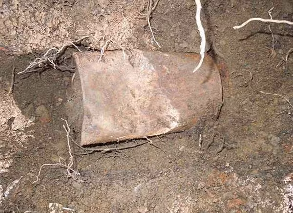 Theo thông tin đăng tải, một cặp vợ chồng sinh sống ở miền bắc California, Mỹ đã thực sự đổi đời khi khám phá ra kho báu ngay cạnh nhà mình, trên con đường đi dạo quen thuộc. Họ tìm thấy khoảng 8 chiếc lon nhôm, chứa đầy những đồng tiền vàng cực quý hiếm. (Nguồn Boredomtherapy)