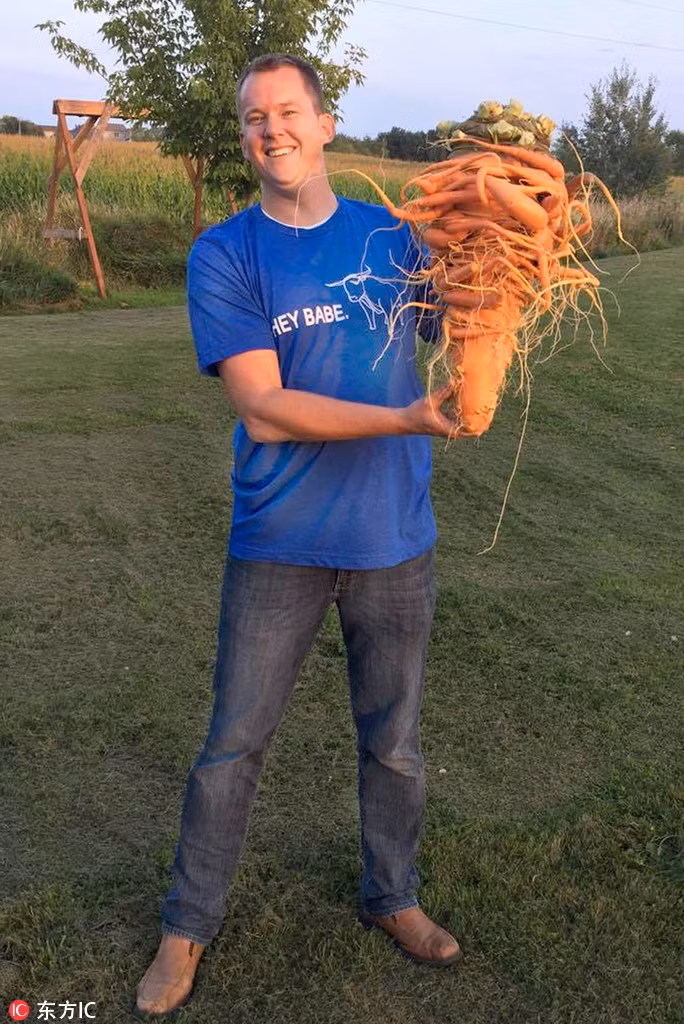 Nhin hinh thu di cua cu ca rot cuc "khung" nay, ban se choang-Hinh-3